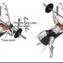팀식스짐 이미지