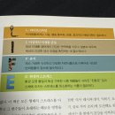 포에버라이프