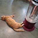 달봉이민박 이미지