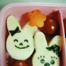 다시;봄김밥 이미지