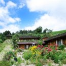 와룡목장 이미지