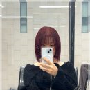 아이엠미헤어 대전둔산점