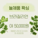 늘채움 이미지