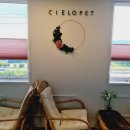 씨엘로펫 이미지