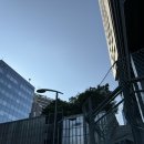 🗼도쿄여행 2일차(10/13)_신주쿠/우동신/도쿄타워/프린스시바공원/도쿄역/모헤지/메가돈키호테