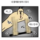 아산메디칼 | [아산] 소마요가 필라테스 후기