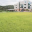 숲속하나어린이집 네이버블로그