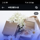 서당개 스튜디오 이미지