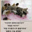 카네이도 이미지