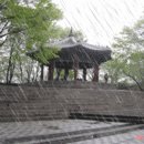 비오는 남산/ 노래 이미지