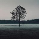 성동광진교육지원청 이미지