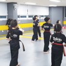 강서비룡태권도 이미지