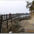 안뜰거북이마을 이미지