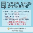 야채왕과일