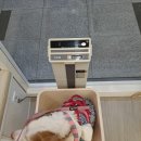 9월의 소원 동물병원 이미지