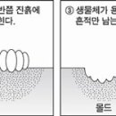몰드와캐스트 이미지