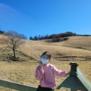 승연목장 이미지