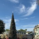 RISE PC | [신혼여행 일지] Day 2-2 LA 디즈니랜드 (디즈니랜드 어드벤쳐 / 디즈니랜드 파크 / 파크호퍼 / Tier 2...