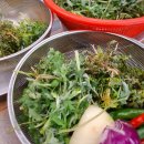 떡 한과 만들기 | [후기] 봄봄 쑥갠떡. 쑥튀김. 쑥수제비. 쑥전만들기