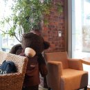 지존카페 PC방 이미지