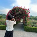 해도지횟집오복미가 | 60대 엄마랑 동해 삼척 정동진 2박 3일 여행 2일차(5) 삼척장미공원 오복미가 순두부젤라또 삼척해수욕장