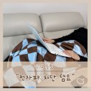 이요안 | 내돈내산 임산부 전자파 차단담요 임신축하선물로도 좋아요