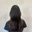 머리여행 미용실 이미지