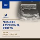 통영고려병원 | 통영24시동물병원 방광결석으로 내원한 6살 스탠다드푸들의 케이스