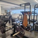 파인드 미 짐 이미지