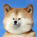 옐로우짐 이미지