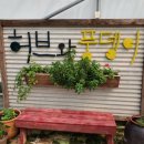 허브와풍뎅이 이미지