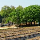 할렐루야농장 이미지