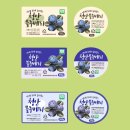 블루베리디자인 이미지