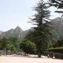 신흥사 이미지