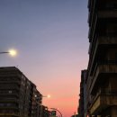 조인태권도장 이미지