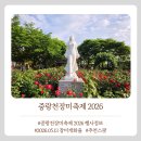 중랑천길 | 미리 다녀온 중랑서울장미축제2026 (장미개화실황 2026.05.13)