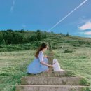 제주의사계 이미지