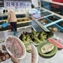 장목수산센타 | 거제 장목 로컬 해산물과 회포장 맛집 장목수산본점