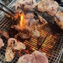 참하닭