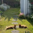 도구로1길 75 이미지