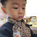 포포테라피
