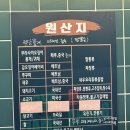 도야짬뽕 대신점 | 광주 광산구 송정동·도산동 중국집 "도야짬뽕 송정점"//크림짬뽕·짜장면·탕수육 후기
