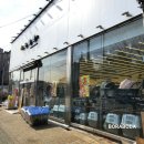 주식회사 온힐펫 당하점 | 애견애묘용품매장_BODA 온힐펫/인천애견용품샵/내돈내산NO협찬/애견간식사료/반려묘장난감/애견유모차...