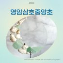 삼호중앙초등학교 이미지