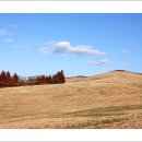 자라목장 이미지