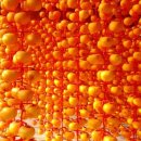 둥구리마을 이미지