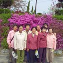 안리경로당 이미지