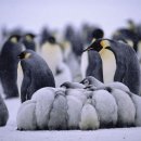 화성(서울) 이미지