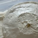 그릭구트 그릭요거트 1kg 락앤락용기 내돈내산 후기 | 꾸덕한 대용량 그릭요거트 추천 | 영양성분, 맛...