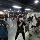 팀베어스복싱짐 이미지